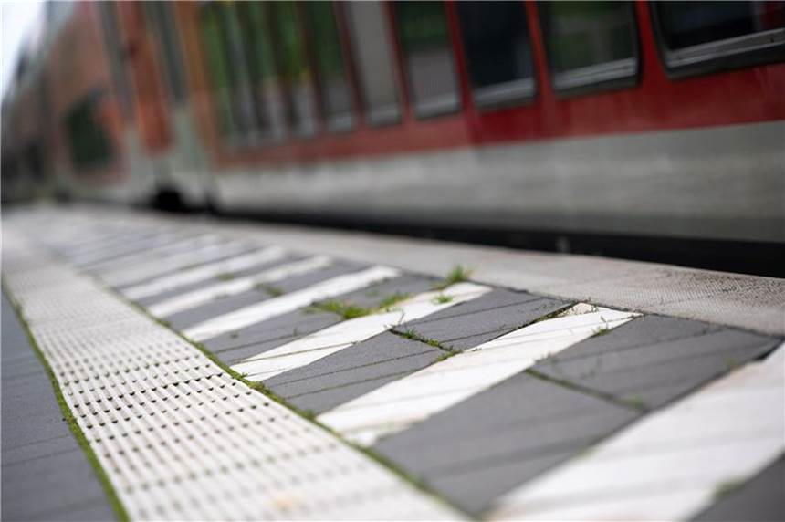 Hund Baldur springt in NRW in Zug und fährt alleine weiter Ein Zug an einem Bahnsteig.