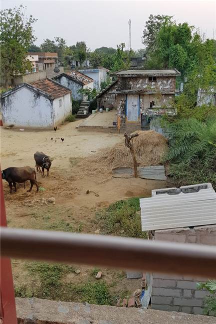 Schule in Indien ist nur durch Spenden aus Südlohn und Oeding möglich Eindrücke aus dem Dörfchen Patharlapadu, wo die Südlohner Reisegruppe zu Gast war.