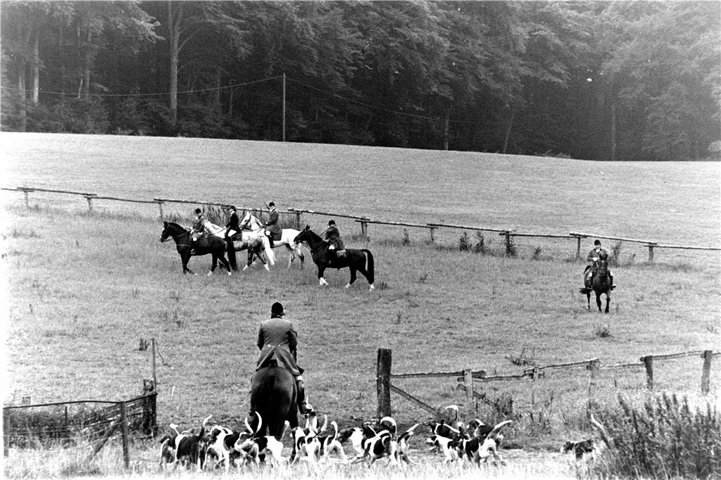 Eindrücke der Fuchsjagd mit der Cappenberger Meute im Jahr 1986.