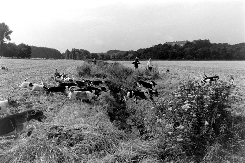 Eindrücke der Fuchsjagd mit der Cappenberger Meute im Jahr 1986.