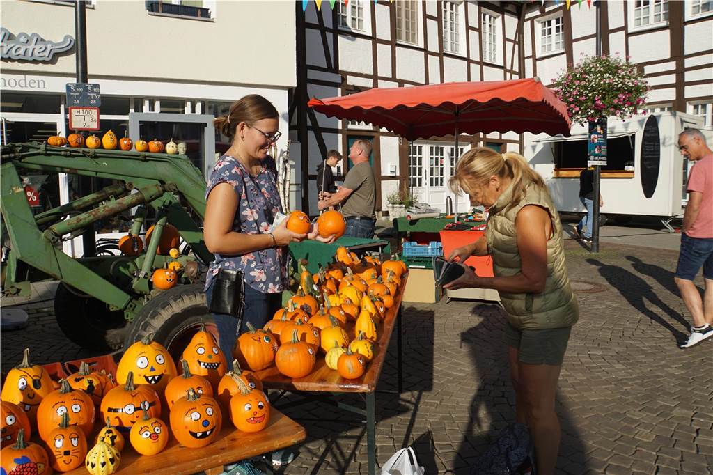 Eindrücke vom Bauern- und Handwerkermarkt 2023 in Werne.