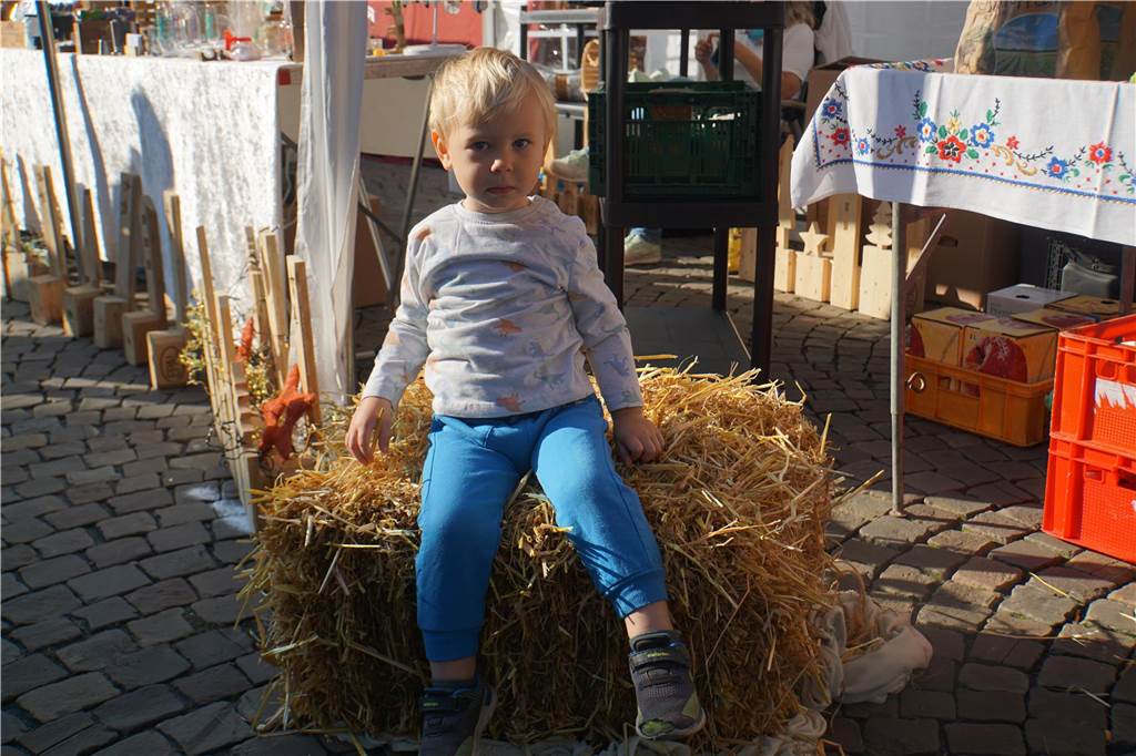 Eindrücke vom Bauern- und Handwerkermarkt 2023 in Werne.