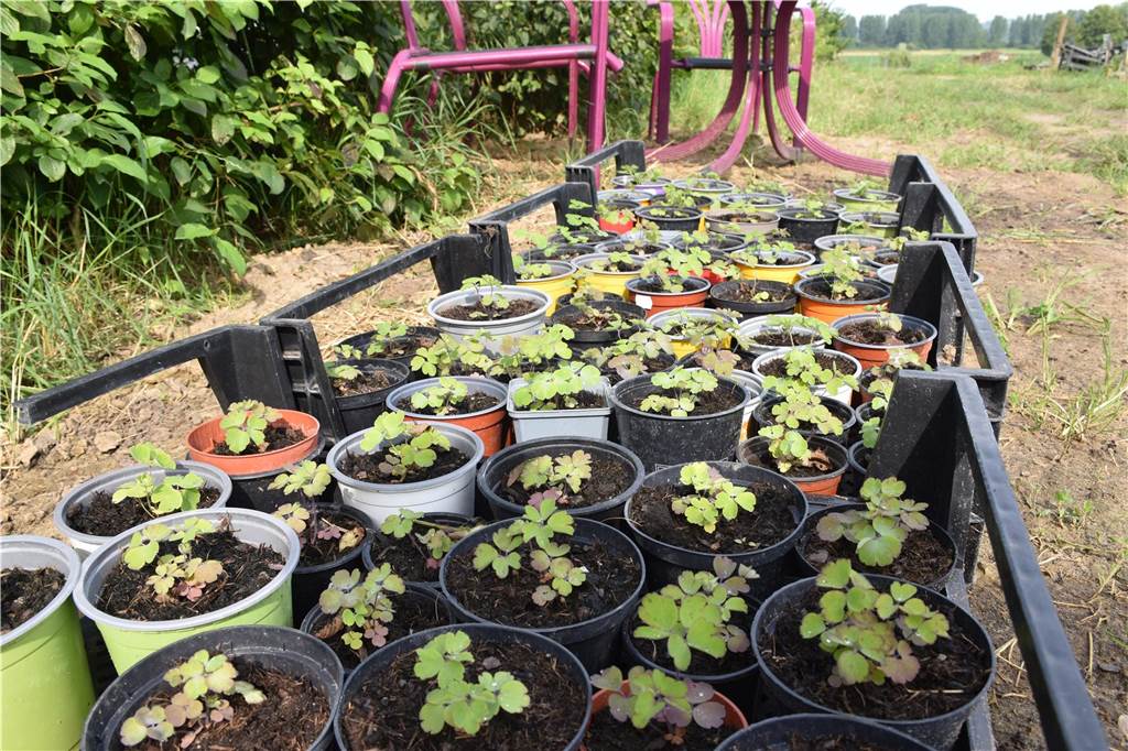 Eindrücke vom Gelände der solidarischen Landwirtschaft in Waltrop.