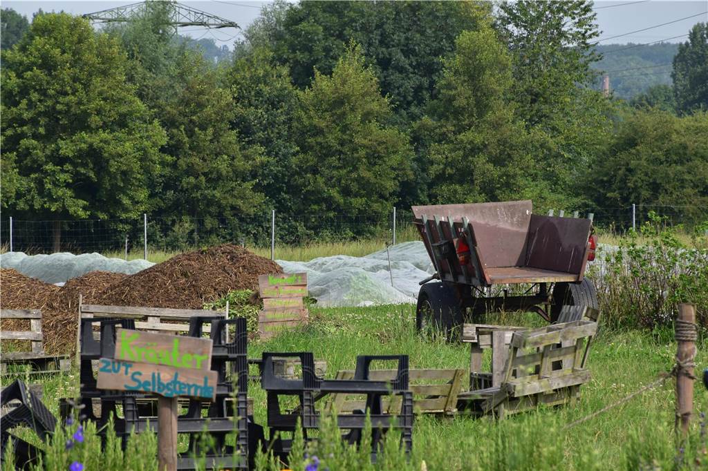 Eindrücke vom Gelände der solidarischen Landwirtschaft in Waltrop.