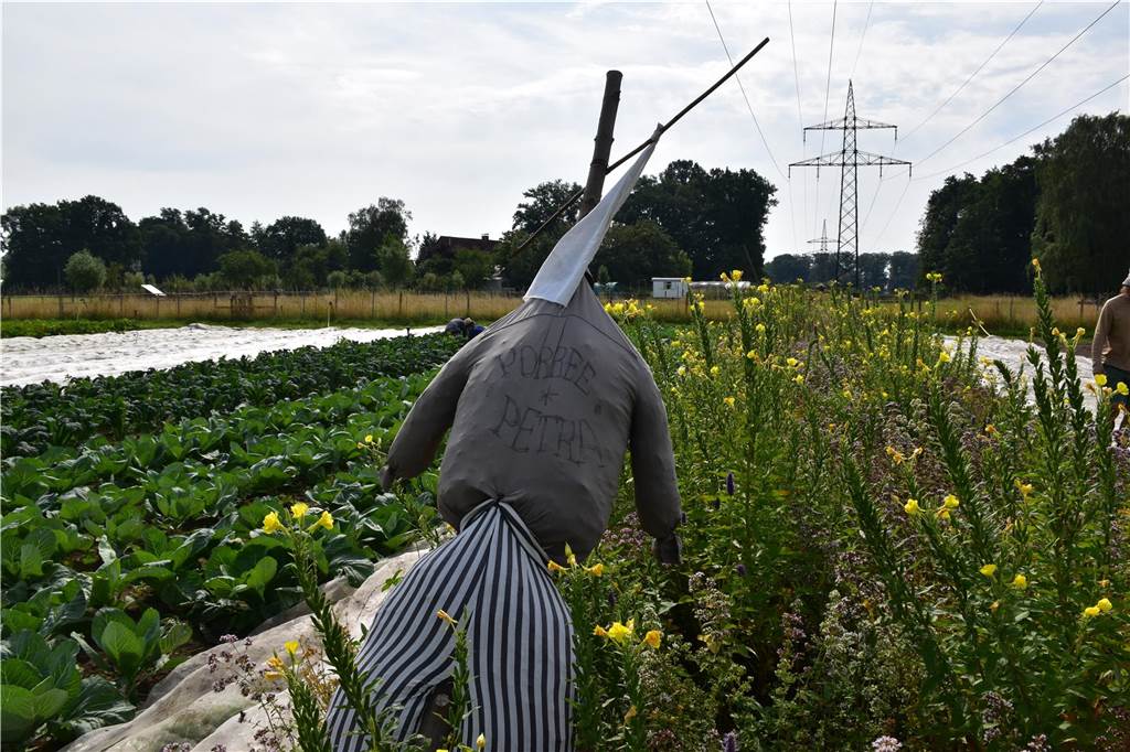 Eindrücke vom Gelände der solidarischen Landwirtschaft in Waltrop.