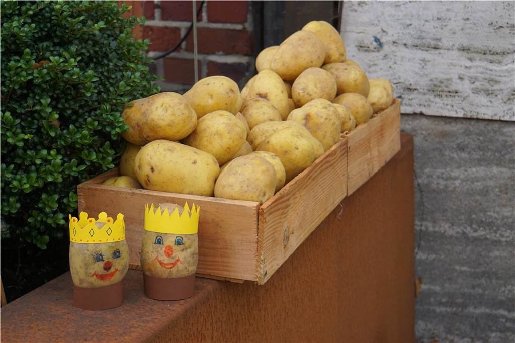 Eindrücke vom Kartoffelfest in Herbern.