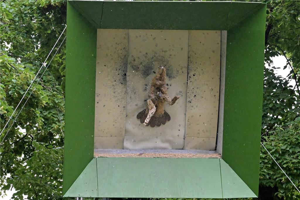 Eindrücke vom langen Vogelschießen des BSV Werne an der Saline.