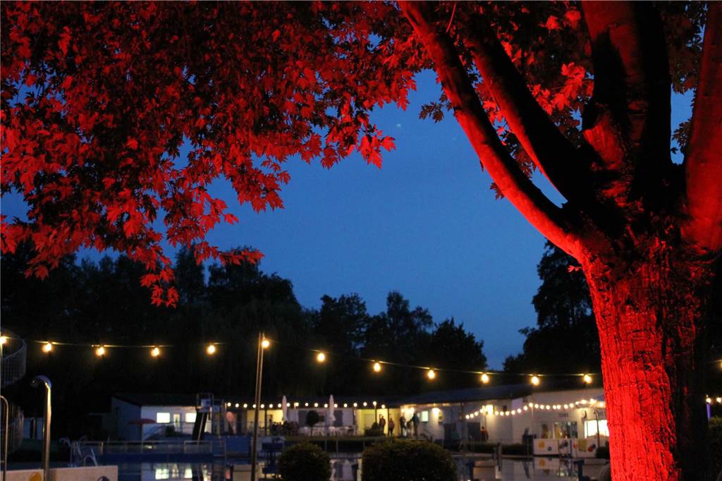 Eindrücke vom Open Air Konzert im Freibad.