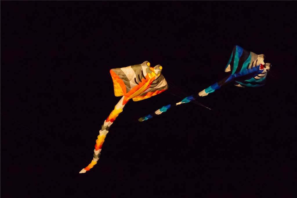 Eindrücke vom Samstagabend auf dem Drachenfest 2024