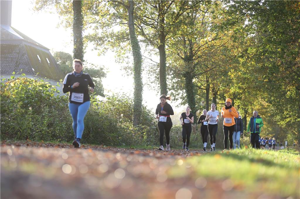 Eindrücke vom Westerwinkellauf 2024 in Herbern.