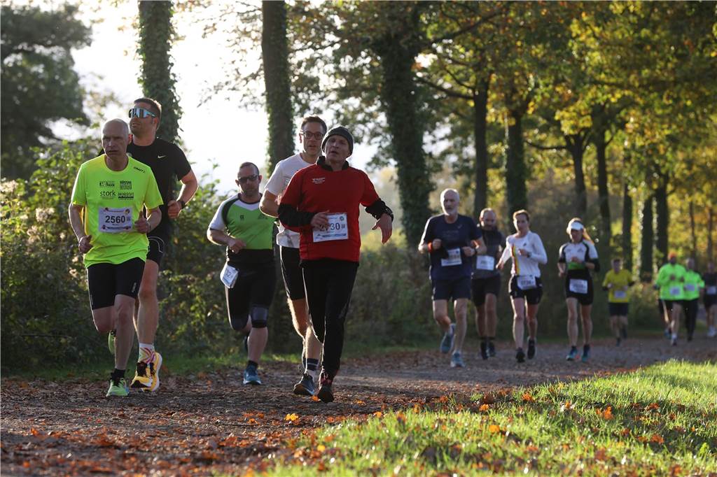 Eindrücke vom Westerwinkellauf 2024 in Herbern.