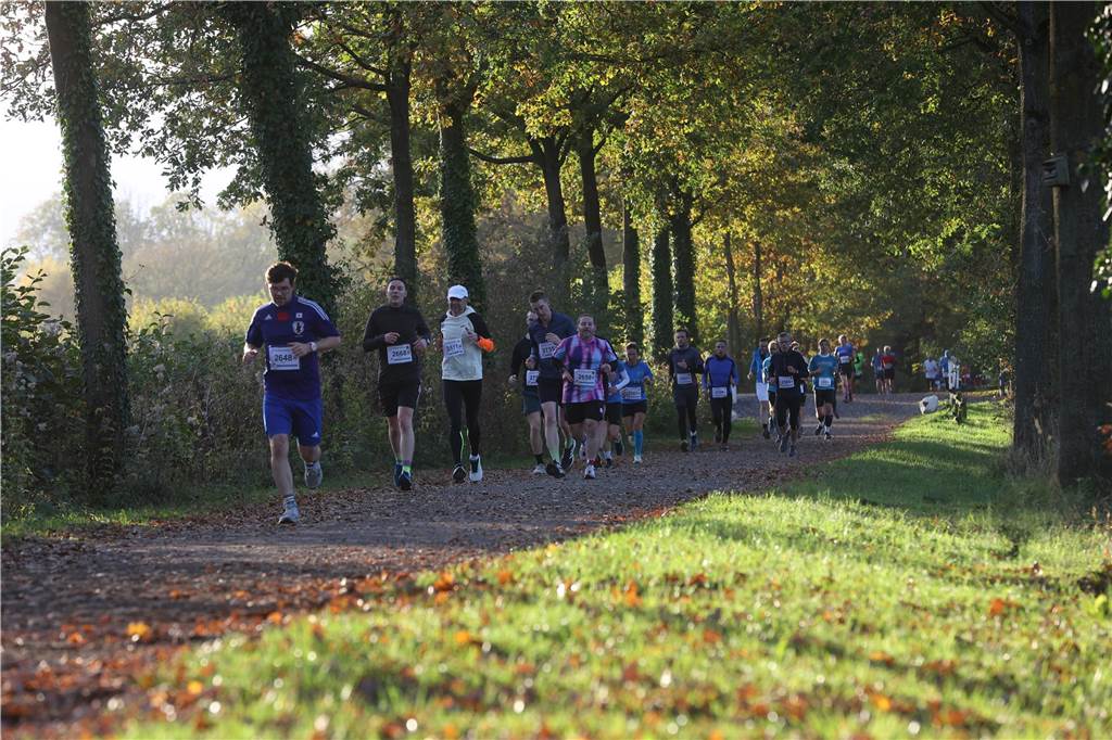 Eindrücke vom Westerwinkellauf 2024 in Herbern.