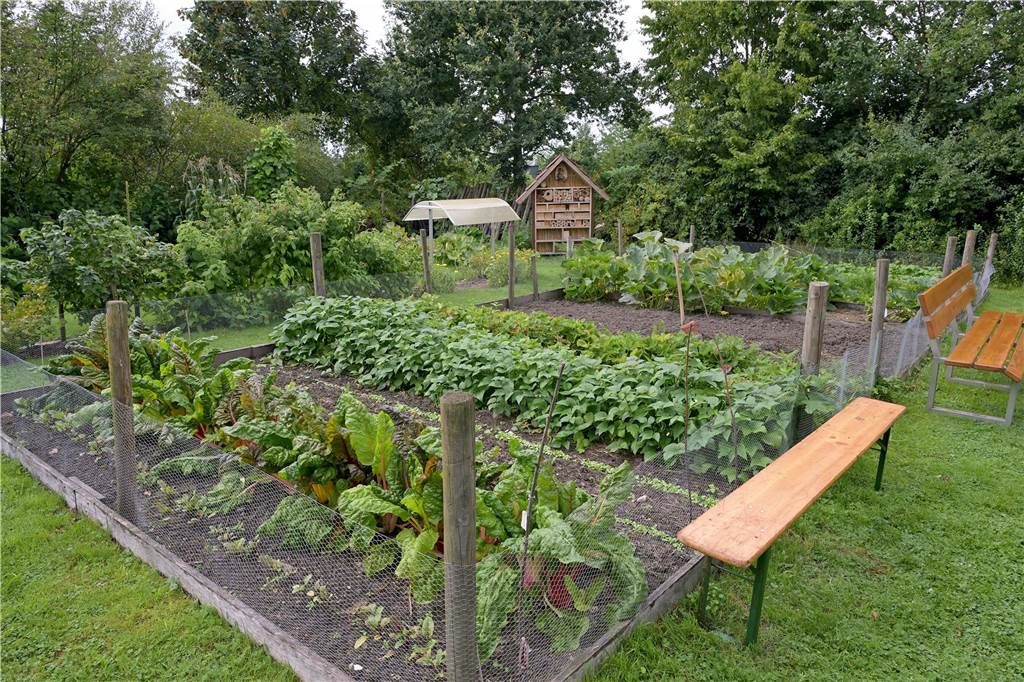 Eindrücke vom Wiesenkonzert im Bauerngarten, das zu Beginn etwas unter einem Schauer litt.