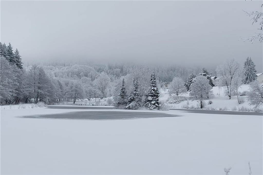 Eine beeindruckende Parklandschaft erreichte uns von Manuela Pink.