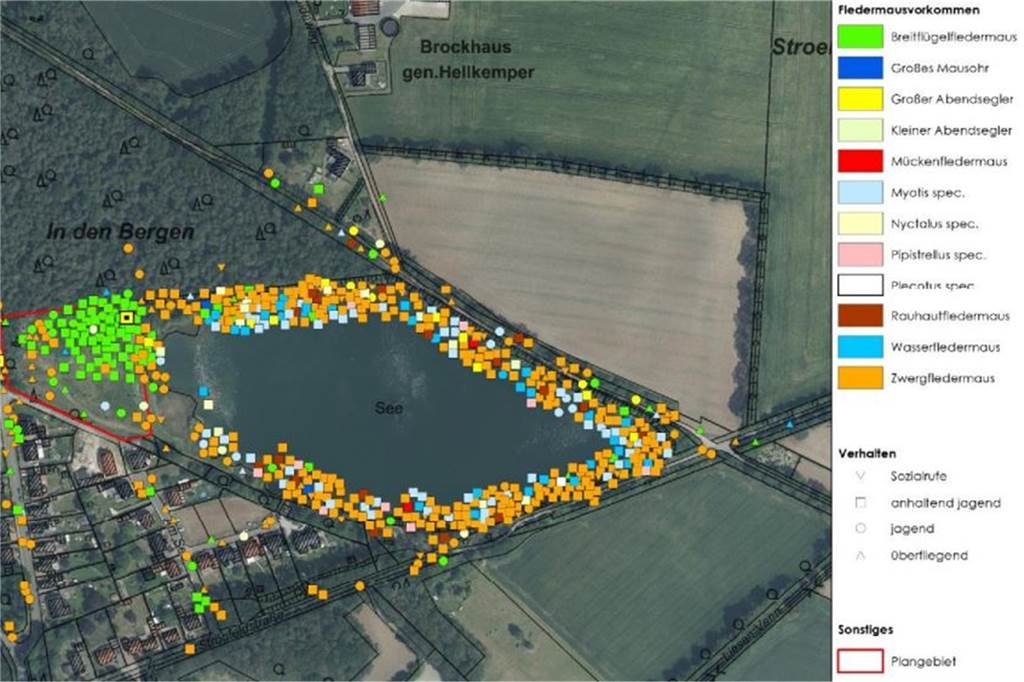 Bebauungsplan „Seeblick“: Wohnen am See für Jahre auf Eis gelegt Eine bunte Karte, die verdeutlich, wie viele Fledermäuse und -Arten auf und um das Plangebiet leben.