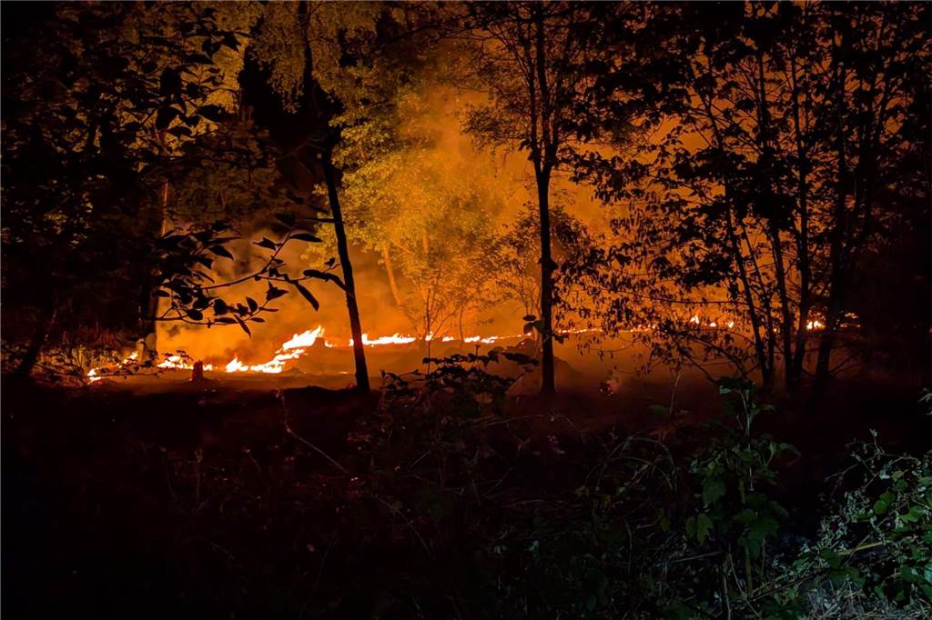 25 Feuerwehrleute löschen Brand im Wald: An dieser Stelle standen 3000 Quadratmeter in Flammen Eine Fläche von rund 3000 Quadratmeter musste die Feuerwehr in der Nacht zu Sonntag löschen.