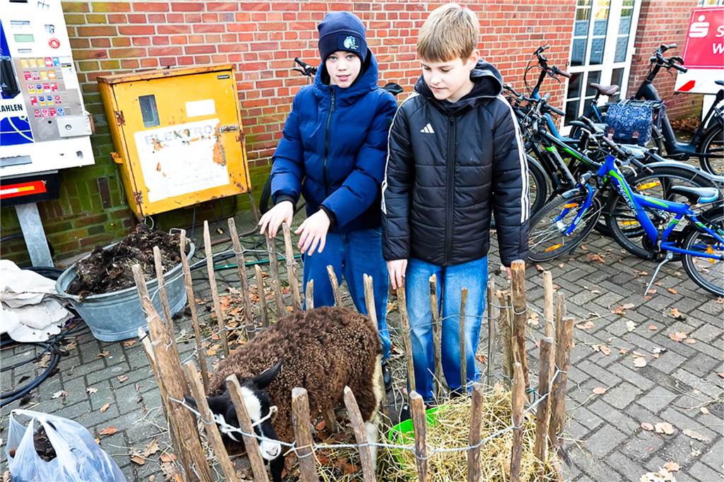 Eine große Auswahl an Weihnachtsdeko und an verschiedenen Speisen wurden den Besuchern des Weihnachtsmarkts in Ellewick geboten. Es war wieder ein geselliger Treffpunkt.