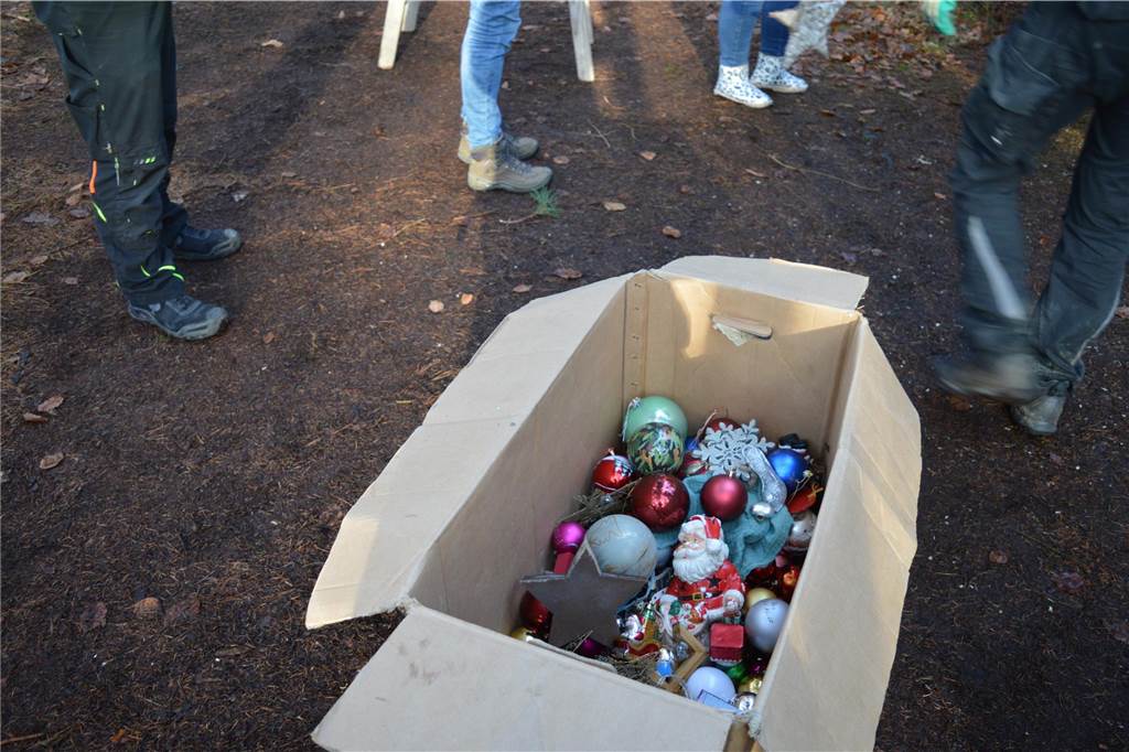 Geheime Mission: Waldwichtel sorgen für Weihnachtszauber in der Bröke Weihnachtszauber in der Bröke.