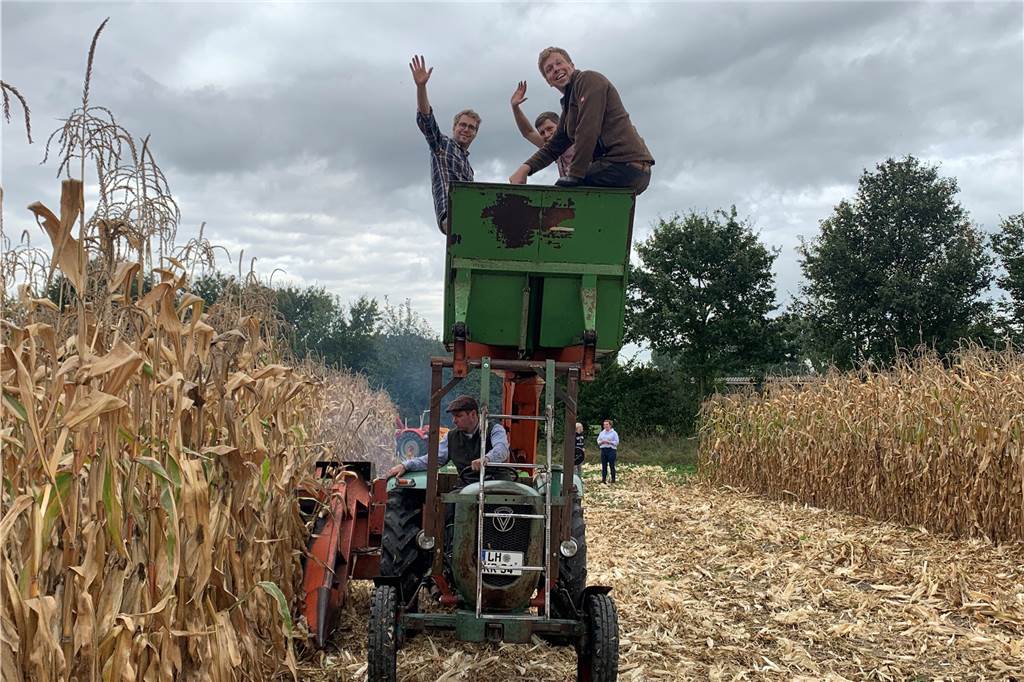 Eine historische Landmaschine, die etwas umgerüstet wurde, kommt bei der Ernte zum Einsatz.