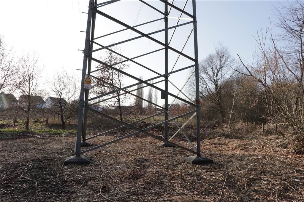 Kahlschlag rund um die Alte Eiche: Aus einem Biotop wird vorerst Ödnis Eine Hochspannungsleitung führt über das Gebiet. Direkt darunter wird kein Haus gebaut, aber im Umfeld schon.