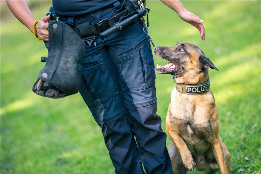 Polizeihund beißt 41-jährigem Dortmunder ins Hinterteil Eine Hündin der Dortmunder Polizei hat einen Mann gebissen, der trotz Warnung weiter auf einen Polizisten zuging.