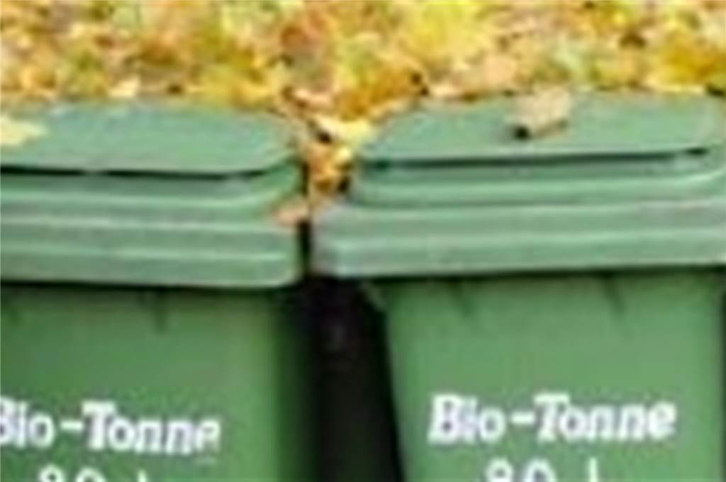 Zu viel Biomüll in der grauen Tonne: Das ist teuer und nicht sinnvoll Eine Info-Kampagne zum Biomüll ist in der Diskussion.