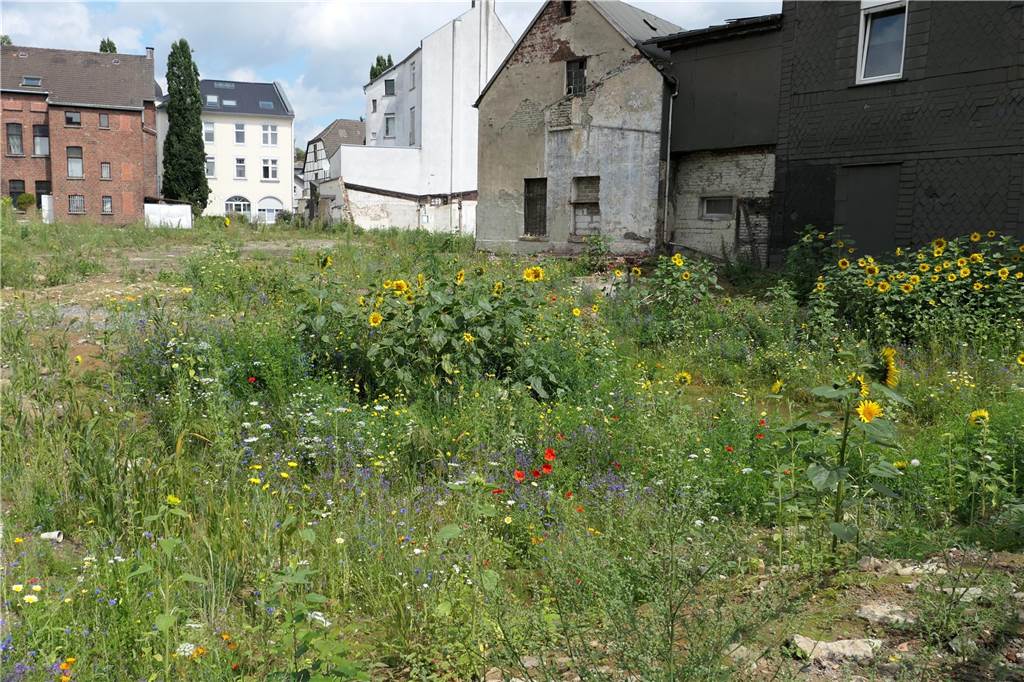 Cava-Platz in Schwerte