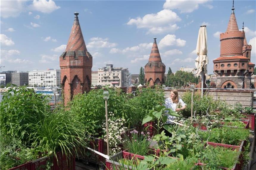 Mit Ente und Lavendel - Firmengärten in Berlin Eine Mitarbeiterin im grünen Garten auf auf der Dachterrasse, hinter ihr die Türme der Oberbaumbrücke in Berlin. Foto: Soeren Stache