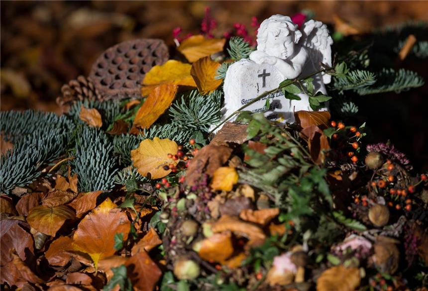 Würden Sie sich im Garten vergraben lassen? Eine neue Form der Bestattung ermöglicht es Angehörigen nun sogar, ihre Verstorbenen als Baum in den eigenen Garten zu holen.