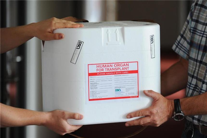Organspenderzahlen auf niedrigstem Stand seit 20 Jahren Eine Organtransportbox auf ihrem Weg zu einem schwer kranken Empfänger. Foto: Jens Kalaene