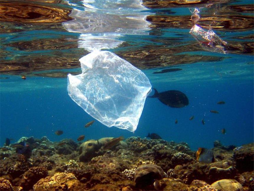 UN-Konferenz zum Schutz der Ozeane Eine Plastiktüte schwimmt über Korallen im Roten Meer. Foto: Mike Nelsin/Archiv