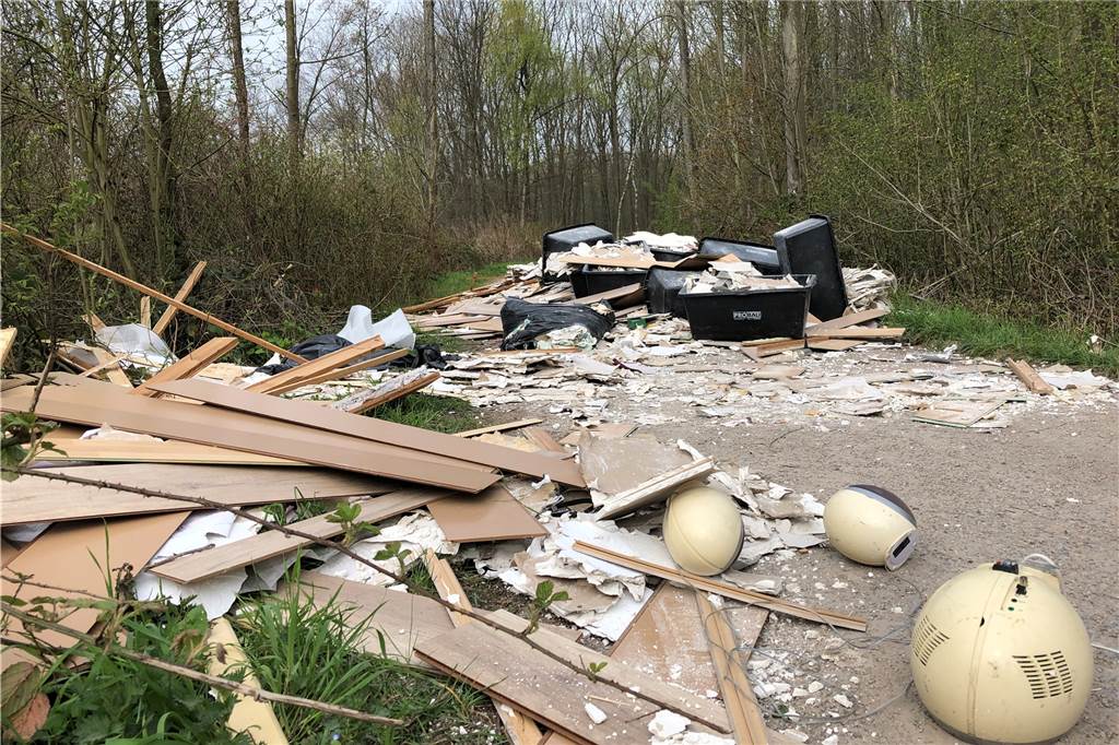 Ordnung: CDU setzt in Castrop-Rauxel auf eine Null-Toleranz-Strategie Eine riesige wilde Müllkippe im Grutholz hatte zuletzt für Aufsehen gesorgt.