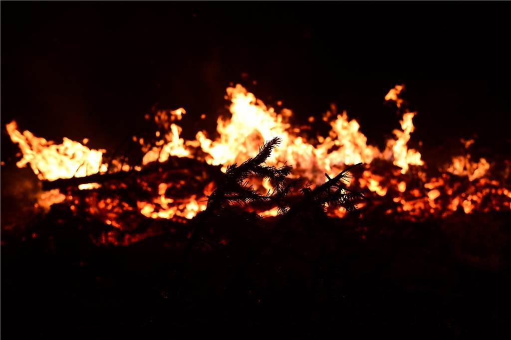 Eine runde Sache: Der Kreislauf des Pfadfinder Osterfeuers beginnt eigentlich schon im Dezember mit dem Weihnachtsbaumverkauf. Diese werden dann im Januar wieder eingesammelt und an Ostern verbrannt.