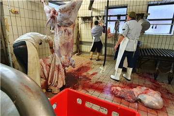 Eine Schlachtung gehört einfach dazu, wenn man Fleisch essen möchten. 