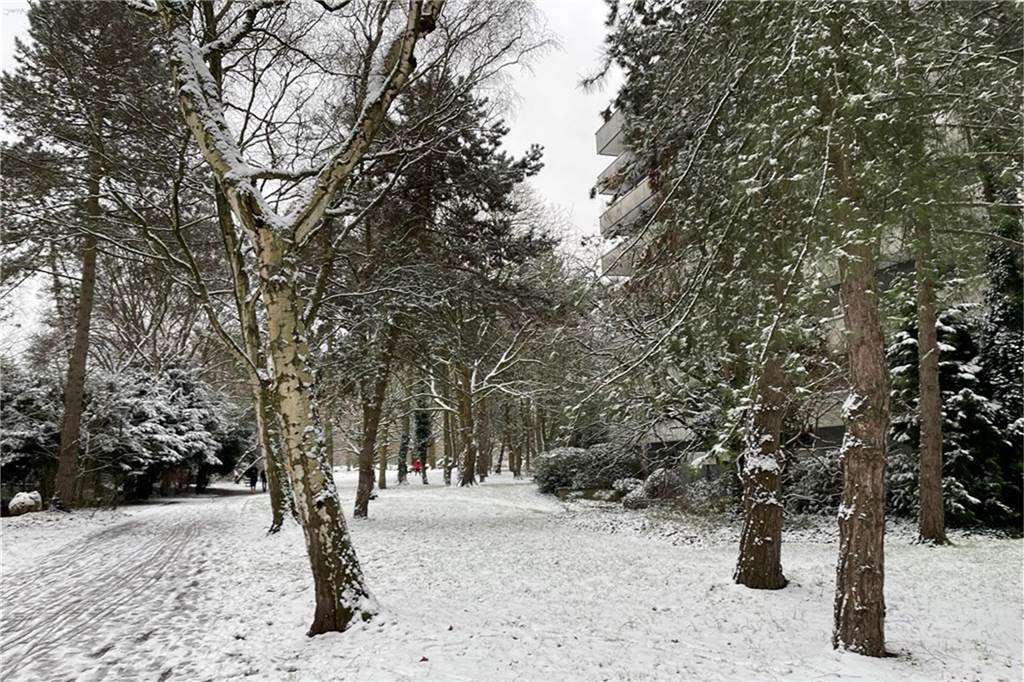 Eine Schneeschicht liegt auch im Stadewäldchen.