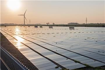 Eine Solaranlage mit flach auf dem Boden montierten Photovoltaik-Elementen liegt im Abendlicht. Foto: Ingo Wagner/Archiv