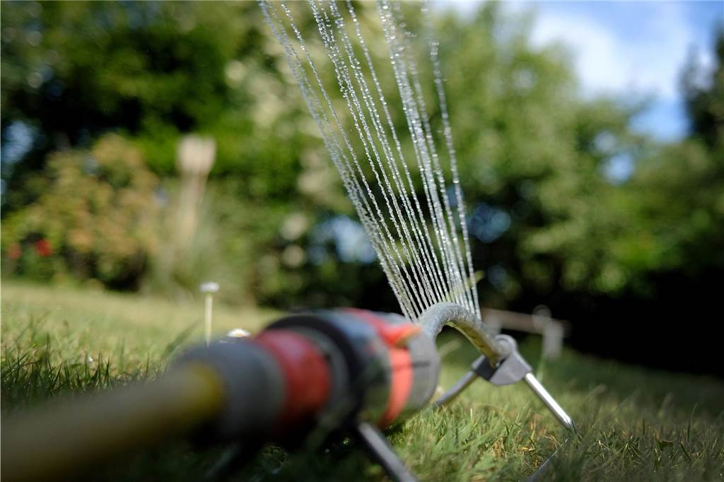 Den Garten fit für den Klimawandel machen Eine Sprinkleranlage bewässert den Garten.