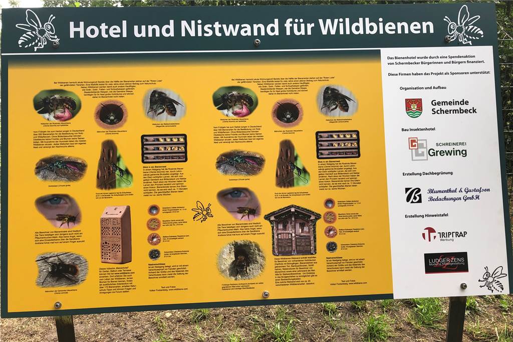 Bohrmaschine glühte anderthalb Wochen für riesiges Insektenhotel Eine Tafel erklärt, welche Tiere in dem Insektenhotel zu beobachten sein werden. Für die Tafel hatten sich die Firmen "Triptrap Werbung" und "Ludger Zens - Moderne Metallgestaltung" eingesetzt.