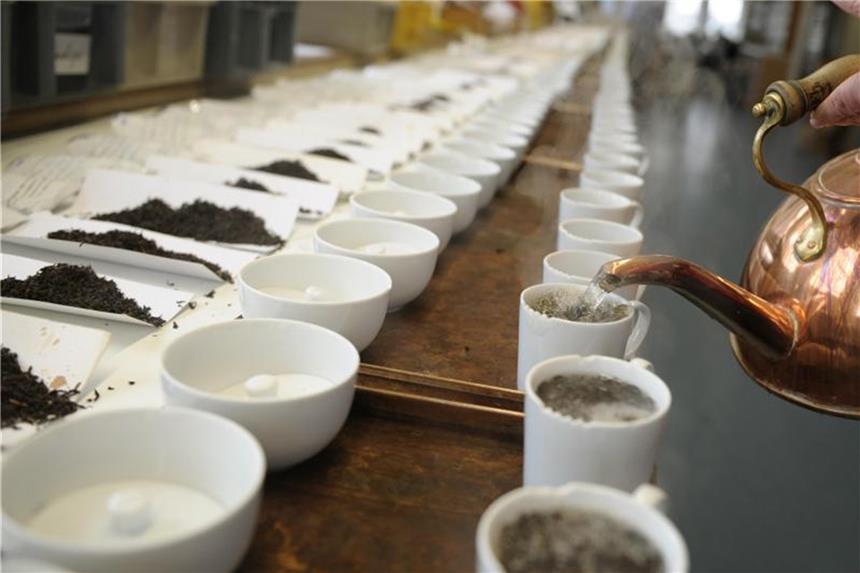 Darjeeling-Ernten fallen Streik zum Opfer Eine Tee-Spezialistin gießt bei der Tee-Probe eines Händlers Wasser in die Probentassen. Foto: Christian Charisius