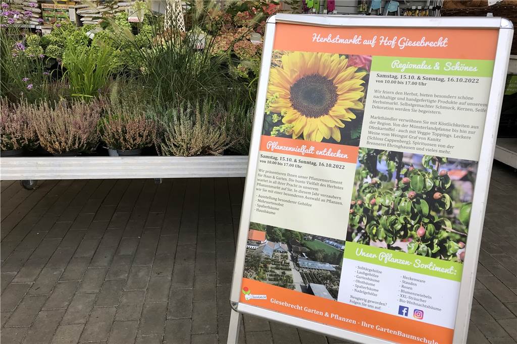 Pflanzen Giesebrecht: Statt Apfelfest jetzt Obstwoche und Herbstmarkt Eine Woche voller Programm steht Pflanzenbegeisterten im Oktober bei Garten und Pflanzen Giesebrecht bevor.