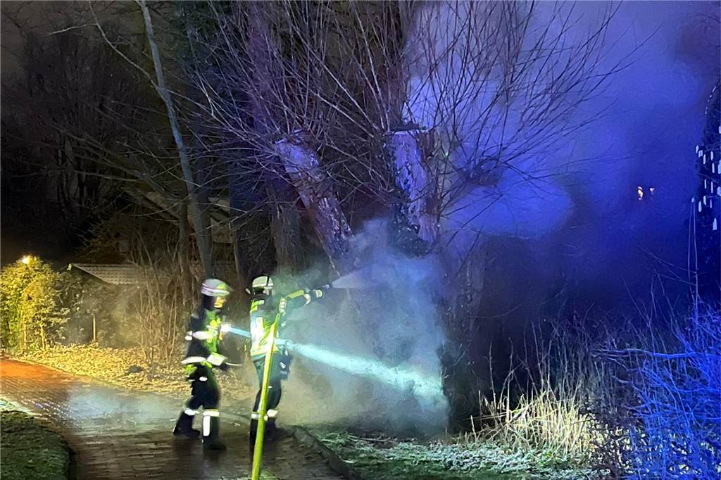 Rauch aus Baum am Hansaring: 14 Feuerwehr-Kräfte im Einsatz Baum raucht