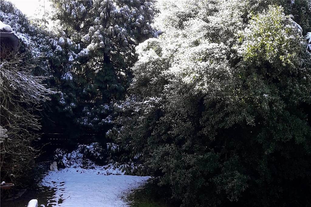 Einen Blick in seinen „Frühlingsgarten" gewährt Thomas Brockherde aus Stadtlohn.