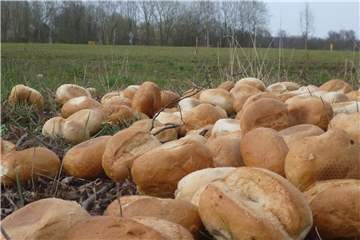 Einen Haufen Brötchen hat ein Leser an der Straße kurz vor Horneburg entdeckt.