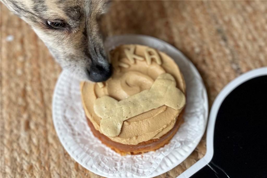 Beliebtes Café „Oma Rosa“ eröffnet neuen Laden Einer der neuen Hundekuchen aus der Oma-Rosa-Produktion