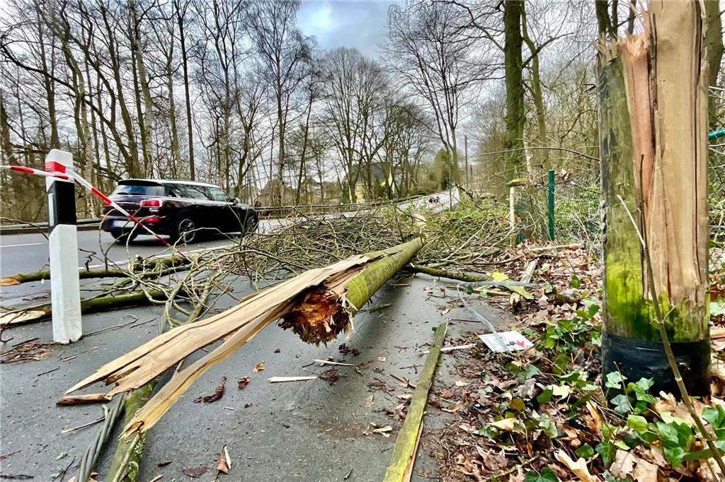 Dramatische Szenen um Mitternacht: Autofahrer unter umgestürztem Baum gefangen Einer der umgestürzten Strommasten, zerbrochen wie ein Streichholz.