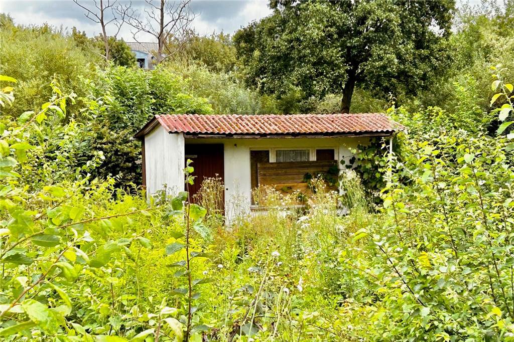 Stadt kündigte Kleingärtnern: Jetzt liegt die Fläche seit Jahren brach Schrebergarten in Dortmund-Schüren