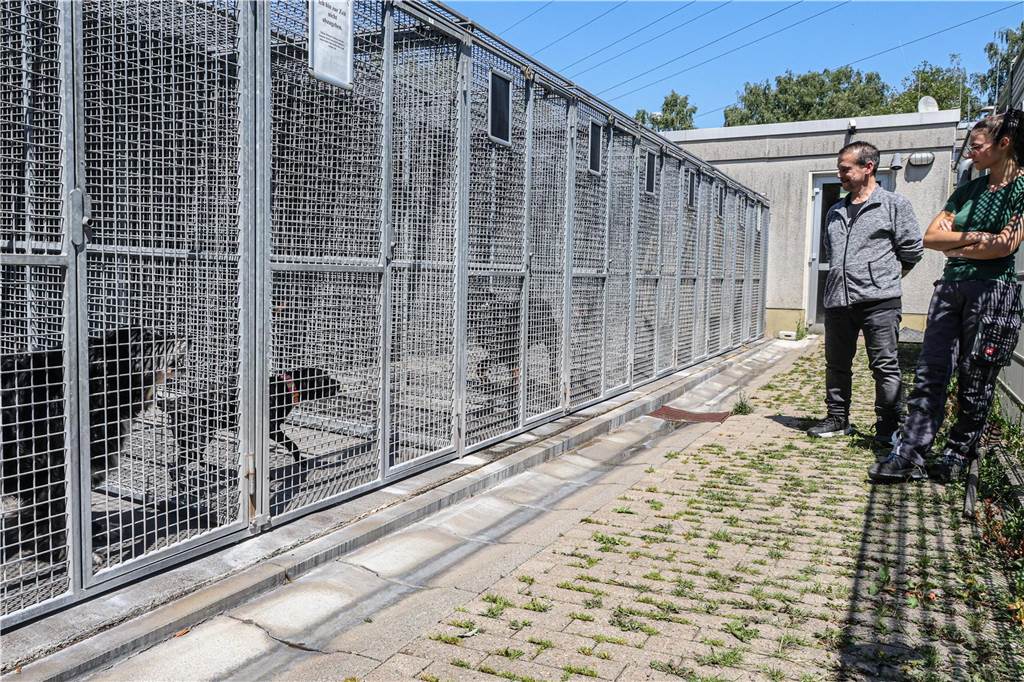 Kleintiere können Besitzer frei wählen: Hohe Nachfrage beim Tierheim zwinger im Tierschutzzentrum Dortmund mit jeweils einem Hund darin. Davor der Leiter Dirk Rojahn und eine Mitarbeiterin des Zentrums.