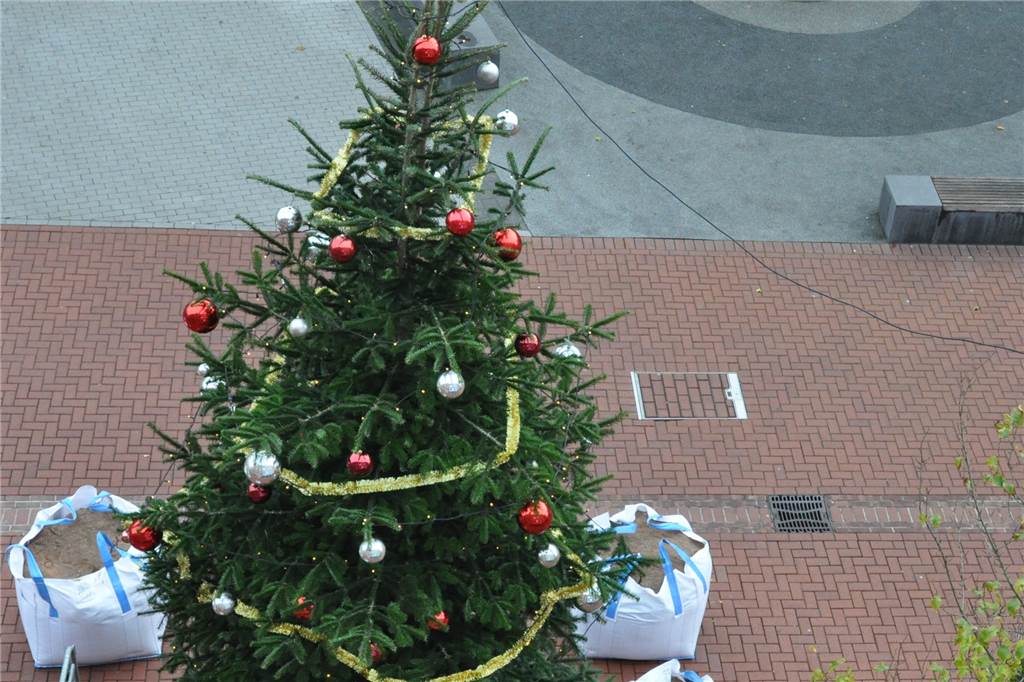 Einige der Weihnachtsbäume sind schon geschmückt, wie hier der Baum am Beginn des Weihnachtsmarktes an der Münsterstraße. 20 Baumpaten werden „ihre“ Bäume am Samstag schmücken.