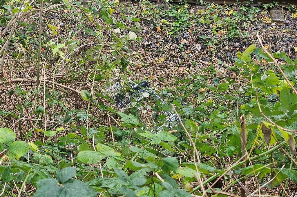 Ein Einkaufswagen liegt verwachsen im Gestrüpp