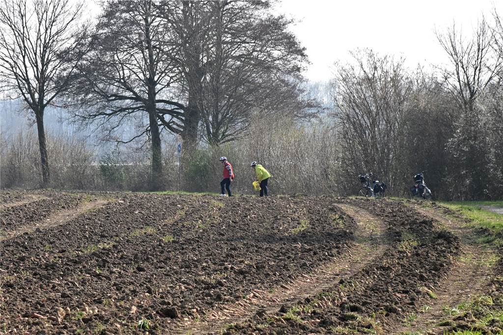 Möhren in Lünen nicht geerntet - Landwirt erklärt ungewöhnliche Aktion Einige Spaziergänger freuten sich über liegengebliebene Möhren. Sie hielten an und sammelten einige auf.
